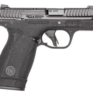 bodyguard 2.0 380acp